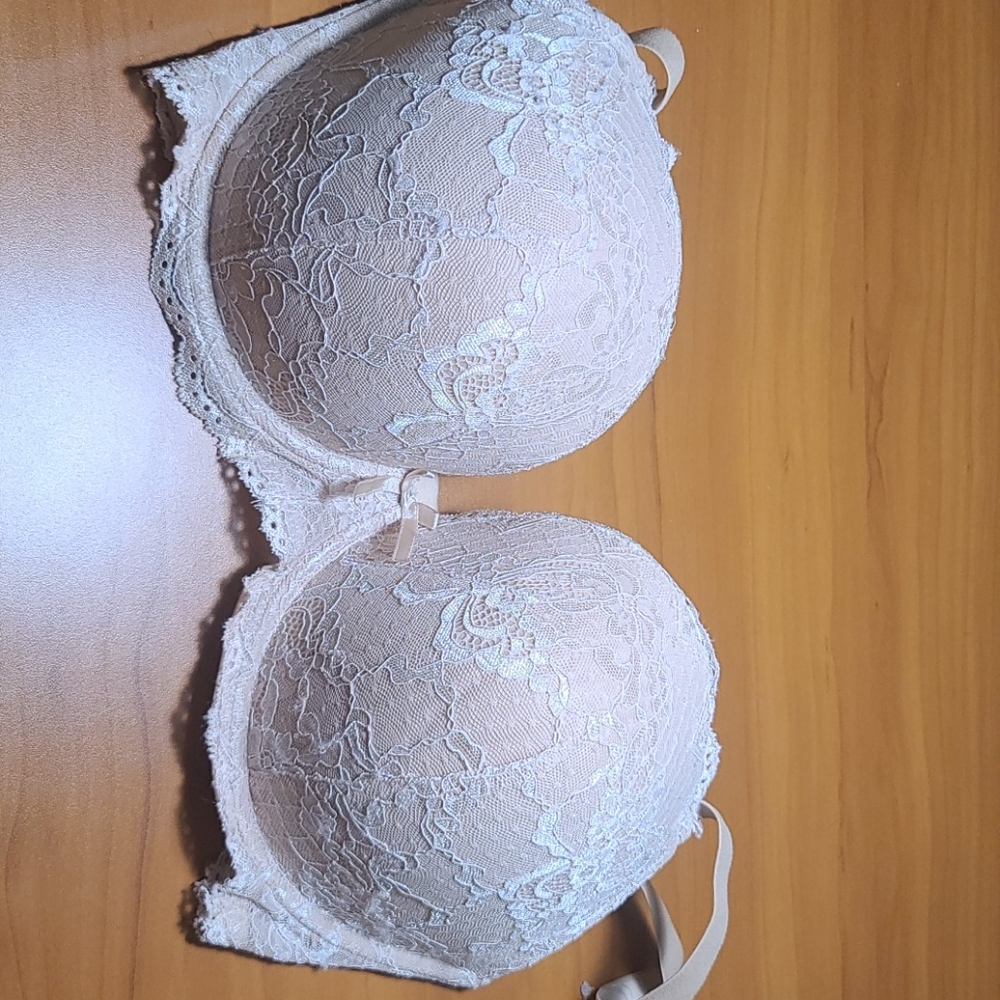 GrandEverest 40DDD Bra